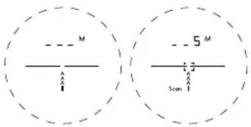 M 5 M Scan