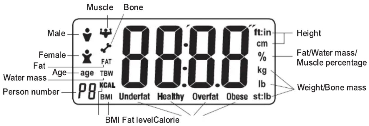 Muscle Bone Male Female Fat Age Water mass Person number age TBW 8.0:8.0 8.0:8.0 8.0:8.0 Underfat Healthy Overfat Obese ft:in cm % kg lb Height Fat/Water mass/ Muscle percentage Weight/Bone mass BMI Fat levelCalorie