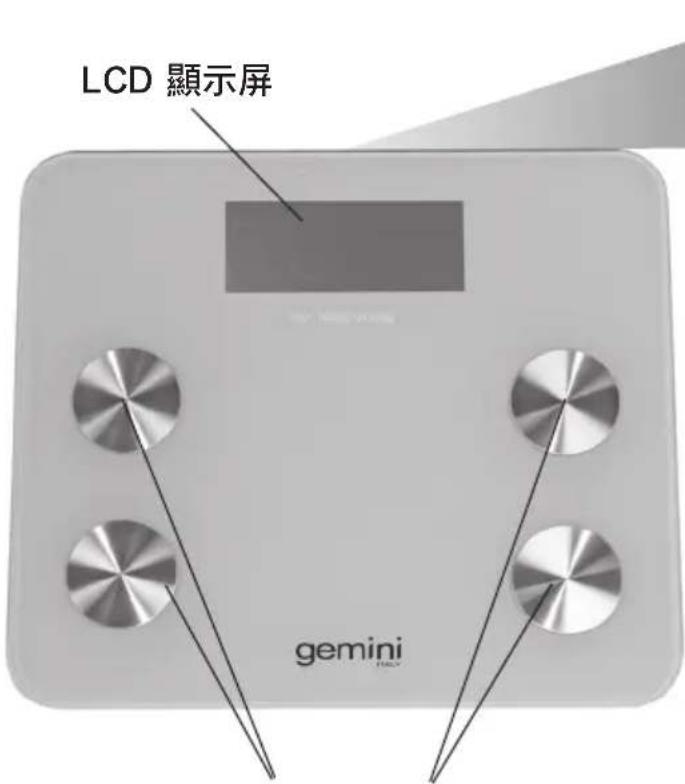 LCD 顯示屏 gemini