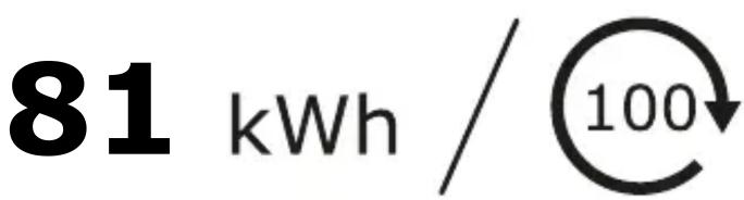 81 kWh / 100