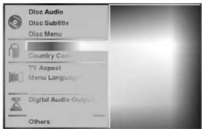 Disc Audio Disc Subtitle Disc Menu Country Code TV Aspect Menu Language Digital Audio Outputs Others