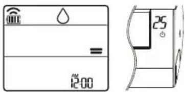12:00 25