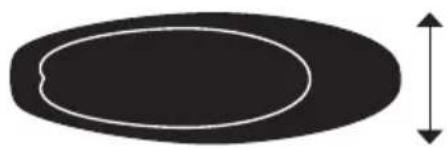 THULE SUP Taxi XT - i - 10