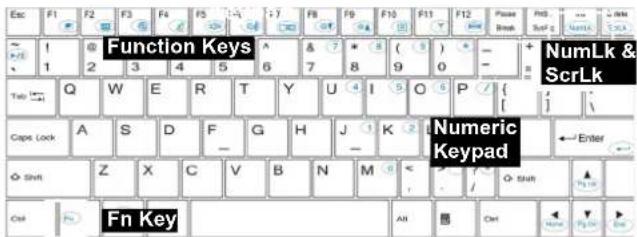 Function Keys NumLk & ScrLk Numeric Keypad Fn Key