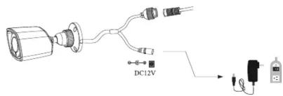 DC12V
