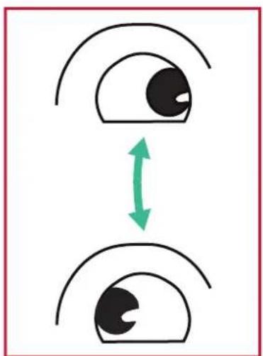 VIEWSONIC IFP8650-3A - Eye Exercises - 2