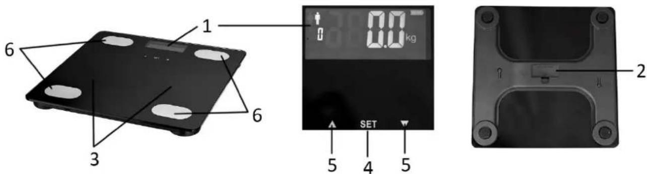 1 2 3 4 5 6 7 8 9 10 11 12 13 14 15 SET 2