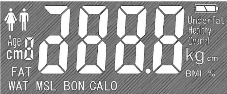 Age cm FAT WAT MSL BON CALO Underfat Healthy Overfat kg cm BMI %