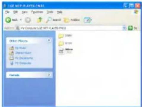 1.02 MTP PLAYERS/PGS File Edit View Favorites Tools Help Back Search Close Add My Computer: LIZ MTP PLAYERS/PGS Other Places My Watch Watch Music My Documents My Computer Details