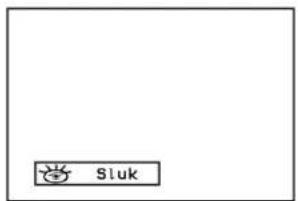 Sluk