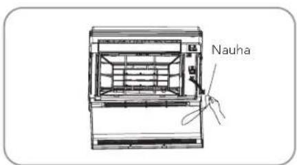 Nauha