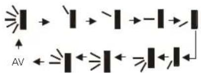 AV