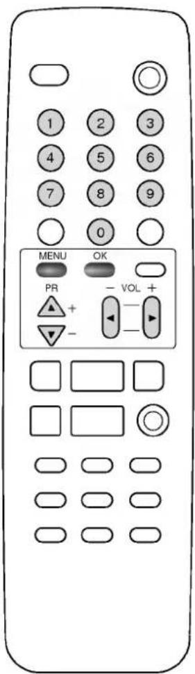 1 2 3 4 5 6 7 8 9 0 MENU OK PR - VOL + -