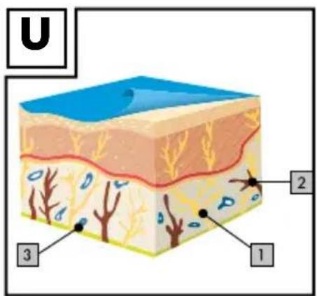 U 2 1 3