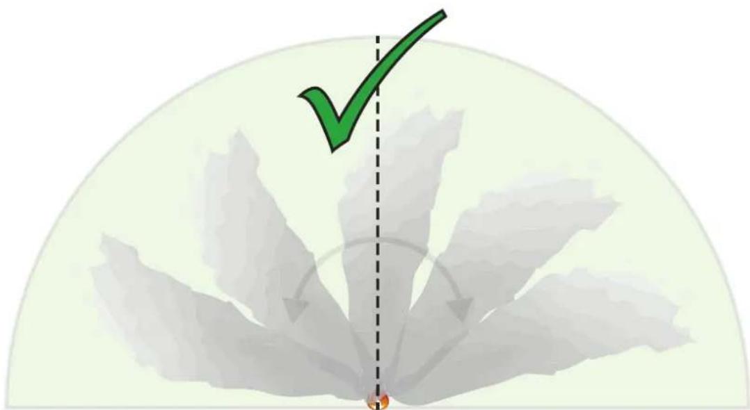 BOSCH FCS-8000-VFD - Direction and angle of a smoke plume - 1