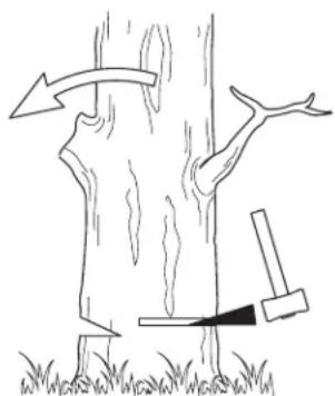 Simple line drawing of a tree with arrows indicating direction and a hammer striking it, no text or symbols present.