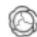 LIEBHERR CBNsdb 5753 Prime - Fruit & Vegetable-skuffe - 3