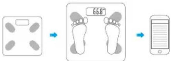 NEVIR NVR-3370BBW - START WEIGHING - 1