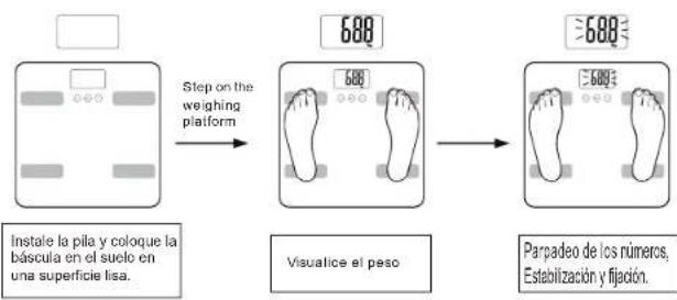 NEVIR NVR-3350BBF - ■ Modalidad de peso normal - 1