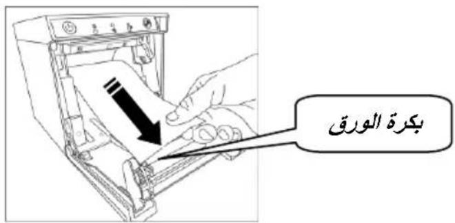 بكرة الورق