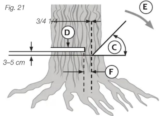 Fig. 21 3/4 1/4 D 3-5 cm C E F