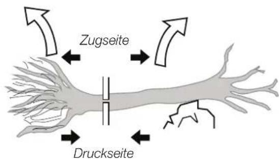 Zugseite Druckseite