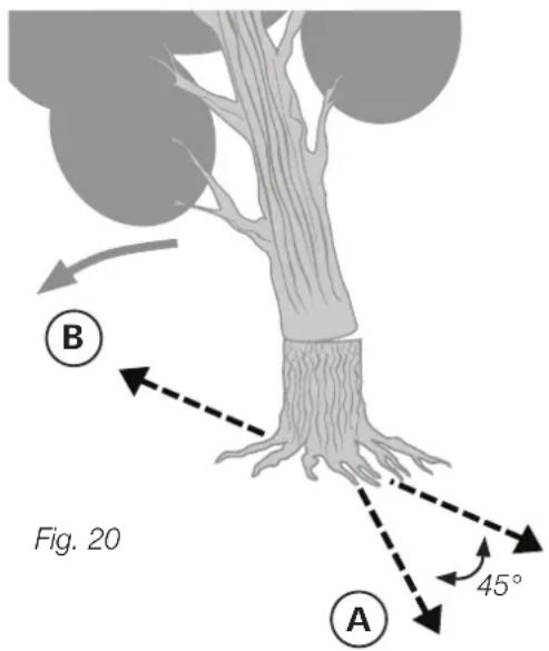 Fig. 20 A B 45°