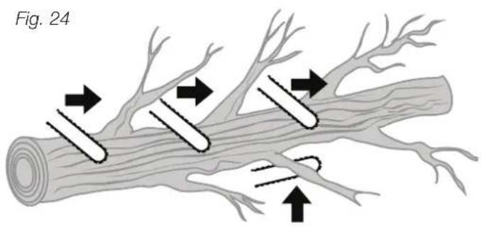 Fig. 24