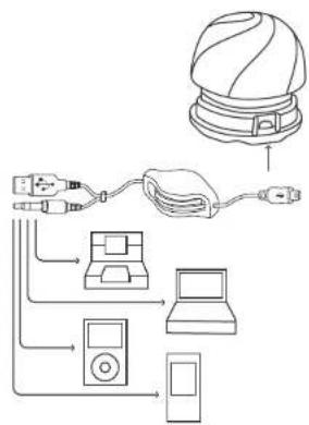 Exibel S020 - Connections - 1