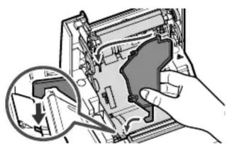 Star Micronics TSP100IIU+ - Inserting a Paper Roll - 3