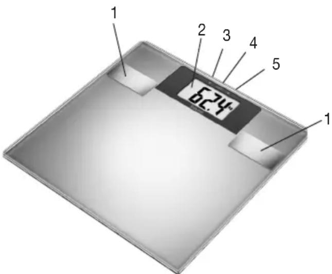 BEURER SR BF2 - Device description - 1