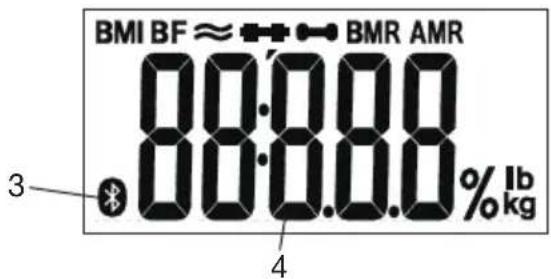 BEURER SR BF1 - Display - 1