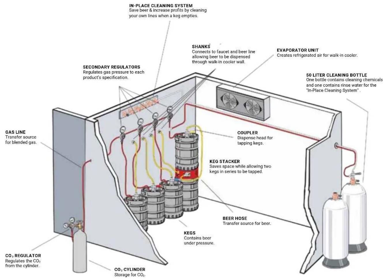IN-PLACE CLEANING SYSTEM Save beer & increase profits by cleaning your own lines when a keg empties. SECONDARY REGULATORS Regulates gas pressure to each product's specification. CO2 REGULATOR Regulates the CO2 from the cylinder. GAS LINE Transfer source for blended gas. SHANKS Connects to faucet and beer line allowing beer to be dispensed through walk-in cooler wall. COUPLER Dispense head for tapping kegs. KEG STACKER Saves space while allowing two kegs in series to be tapped. BEER HOSE Transfer source for beer. KEGS Contains beer under pressure. CO2 CYLINDER Storage for CO2. EVAPORATOR UNIT Creates refrigerated air for walk-in cooler. 50 LITER CLEANING BOTTLE One bottle contains cleaning chemicals and one contains rinse water for the "In-Place Cleaning System".