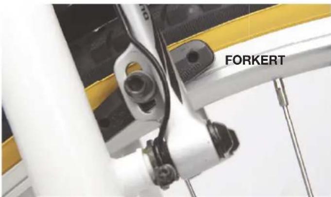 FORKERT