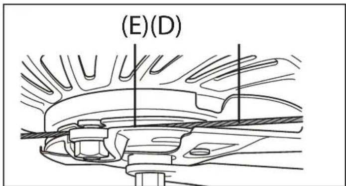 (E)(D)