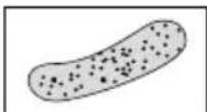 Biltema SG500 - Fejlfinding - 2