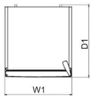 D1 W1