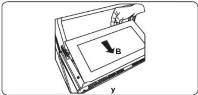 B y