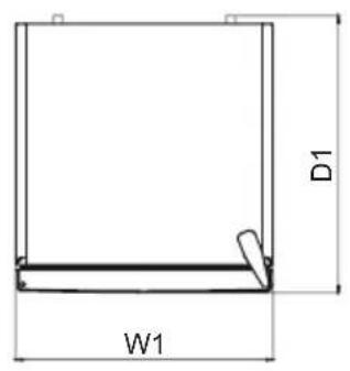D1 W1