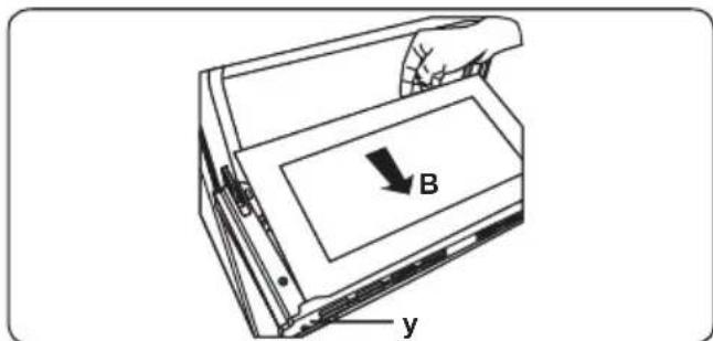 B y