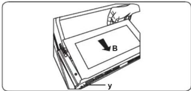 B y