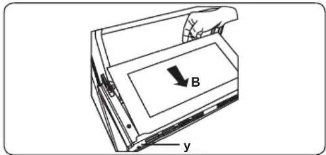 B y