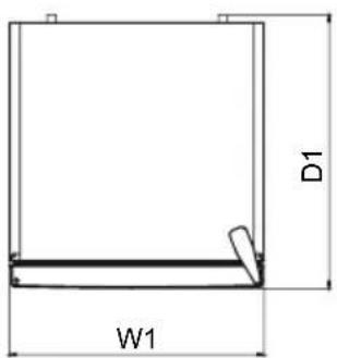 D1 W1