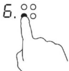 6.
