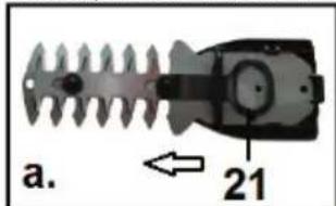 a. 21