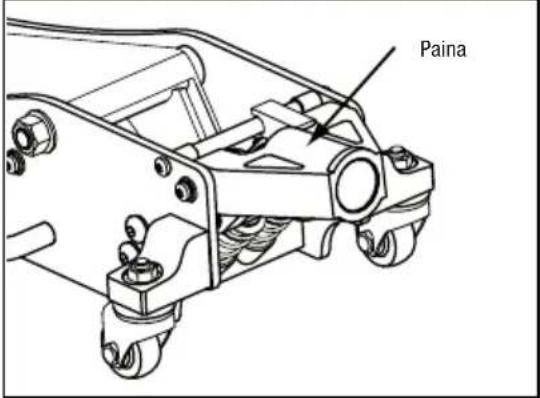 Paina