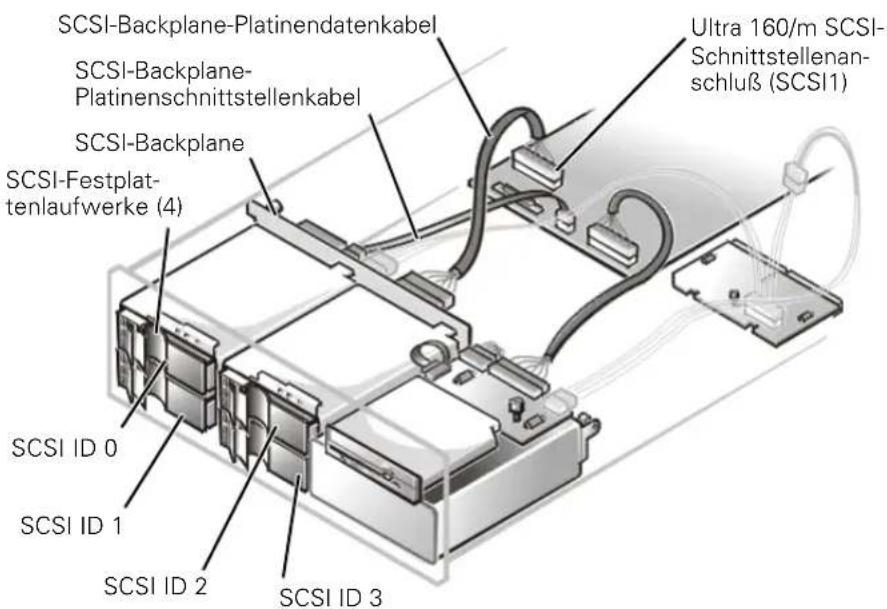 SCSI-Backplane-Platinendatenkabel SCSI-Backplane- Platinenschnittstellenkabel SCSI-Festplat- tenlaufwerke (4) Ultra 160/m SCSI- Schnittstellenan- schluß (SCSI1) SCSI ID 0 SCSI ID 1 SCSI ID 2 SCSI ID 3