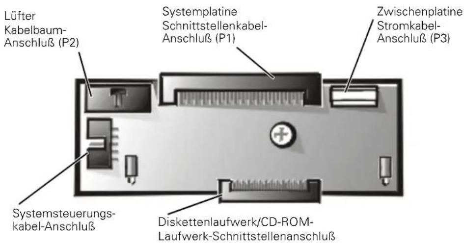 Lüfter Kabelbaum- Anschluß (P2) Systemplatine Schnittstellenkabel- Anschluß (P1) Zwischenplatine Stromkabel- Anschluß (P3) Systemsteuerungs- kabel-Anschluß Diskettenlaufwerk/CD-ROM- Laufwerk-Schnittstellenanschluß