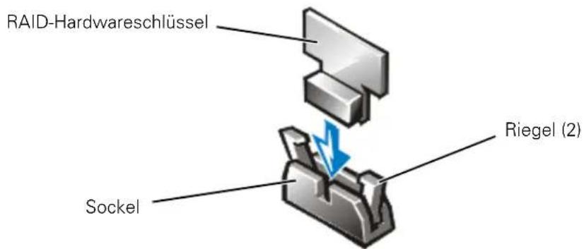 RAID-Hardwareschlüssel Riegel (2) Sockel