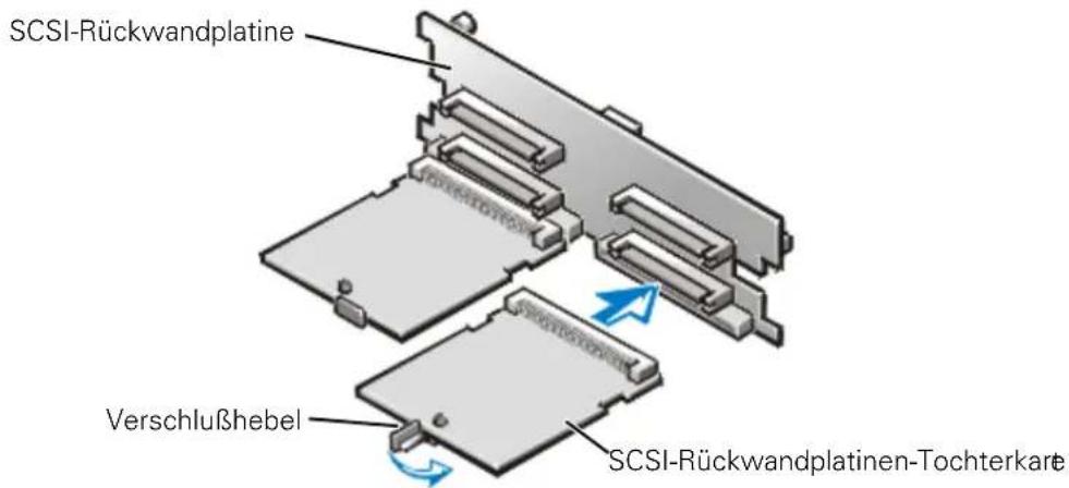 SCSI-Rückwandplatine Verschlußhebel SCSI-Rückwandplatinen-Tochterkare